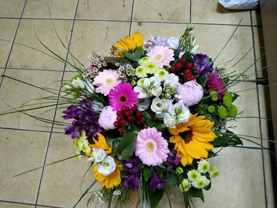 Kaktus. Kwiaciarnia. Szabłowska A.